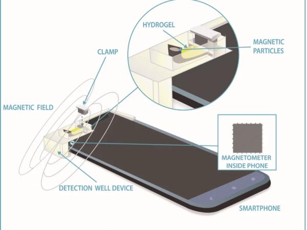 Учені перетворили смартфон Motorola на робочий глюкометр