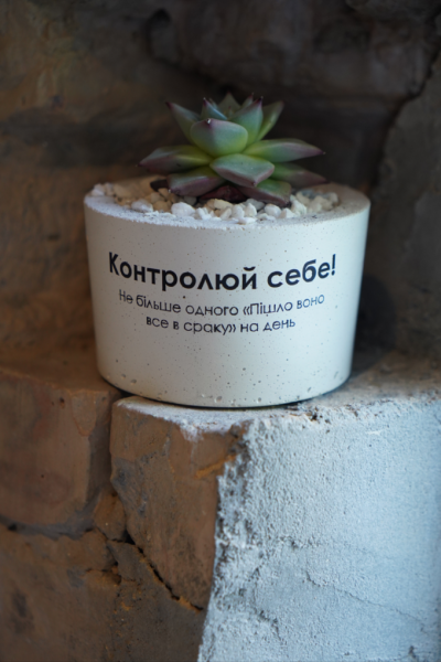 Кав’ярня Tom’s біля «Звіринецької»