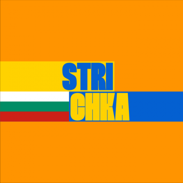 Для українців за кордоном запустили платформу Strichka. Як скористатися
