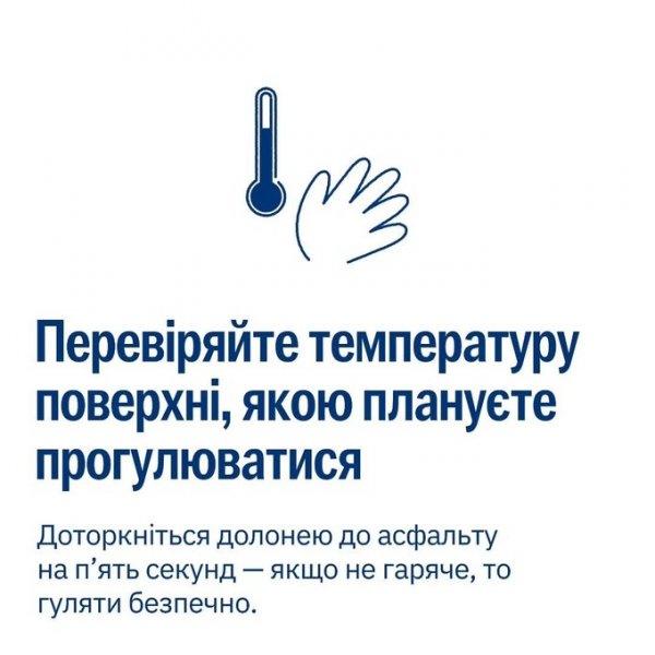 Як запобігти перегріву та зневодненню тварин під час сильної спеки – поради UAnimals