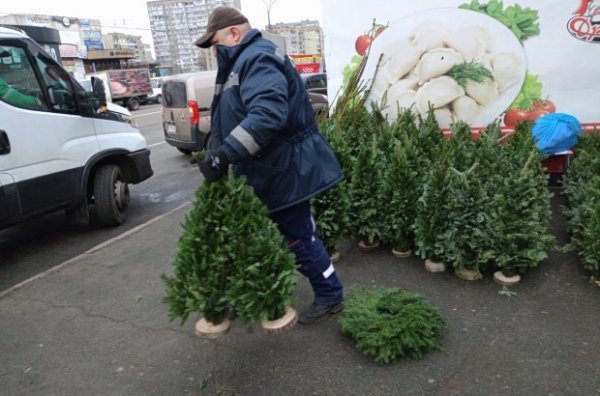 У Києві демонтували вже 29 незаконних ялинкових ярмарок