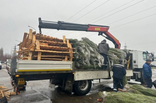 У Києві демонтували вже 29 незаконних ялинкових ярмарок