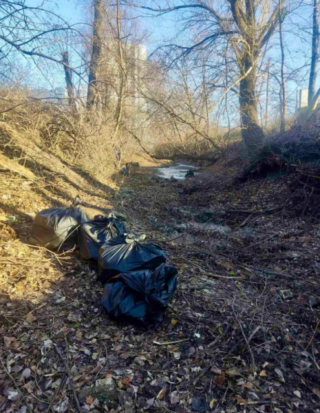 Озеро Зариваха на Русанівських садах очистили. Частково прибрали дамбу і повалені дерева