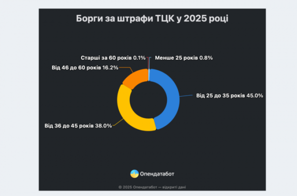 З початку року за несплачені штрафи від ТЦК відкрили майже стільки ж проваджень, як за весь 2023 рік