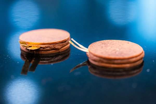 Ученые создали роботорт со съедобными батарейками и двигающимися сладкими мишками