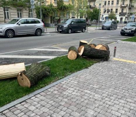 У Києві пропонують розпустити «Київзеленбуд» через спилювання здорових дерев – петиція
