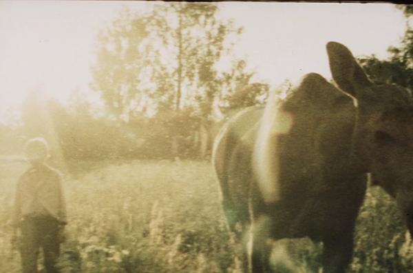 «Визнана класика і забуті хіти різних епох». «Київкінофест» оголосив повну програму