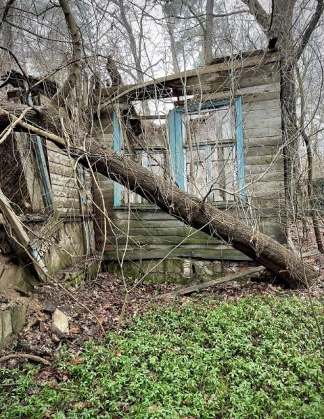 У Пущі-Водиці розібрали залишки колишньої дачі Валентини Тілль, яку збудували в 1990-х роках