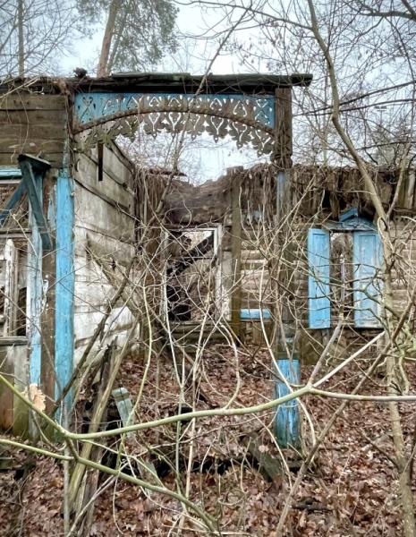 У Пущі-Водиці розібрали залишки колишньої дачі Валентини Тілль, яку збудували в 1990-х роках
