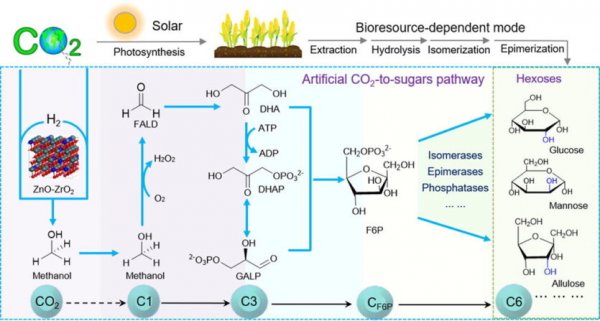 Конфеты из воздуха — китайцы превращают CO₂ в пищу