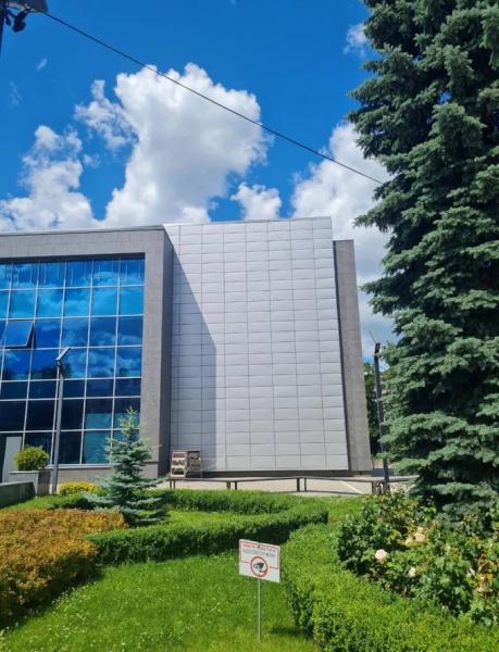 Найстарішу мозаїку Чернігова зашили металевими панелями