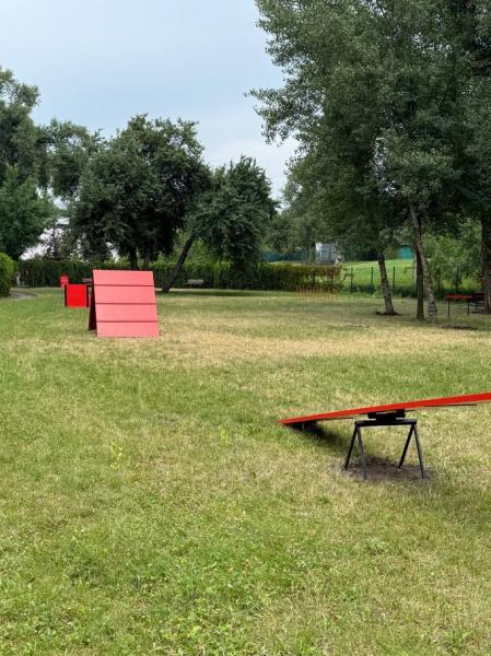У парку «Наталка» відкрили майданчик для вигулу собак