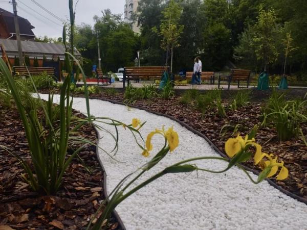На Володимирській гірці та Контрактовій площі. Нові дощові садки облаштують у 2025 році