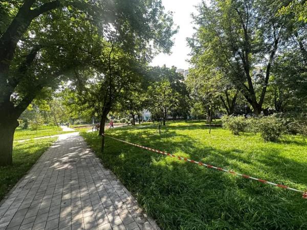 З пішохідними доріжками та освітленням: почався капітальний ремонт скверу на вулиці Шептицького