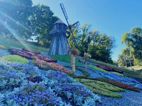 До Дня Незалежності у всіх районах Києва створили тематичні квітники
