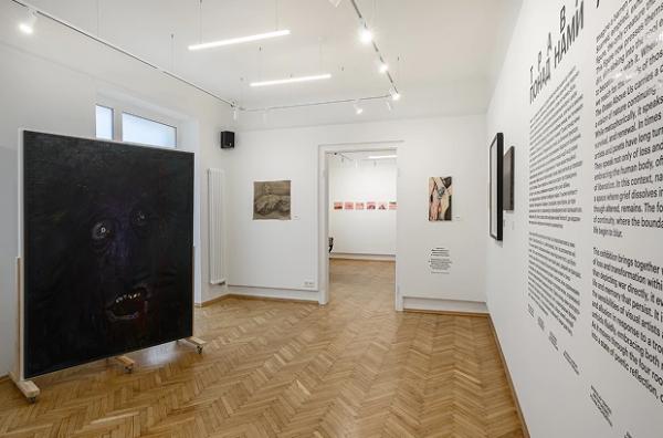 У Луцьку відкрили LU Gallery з дебютною виставкою «Трава понад нами»