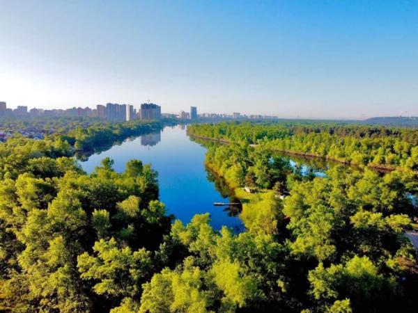 На територію заказника «Горбачиха» заїхав екскаватор. Там почали вирубувати дерева – активіст Симороз