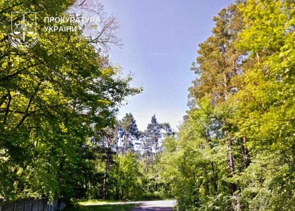 У Дарницькому районі планували забудувати 16 гектарів лісу – прокуратура