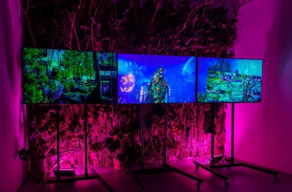 У Луцьку відкрили LU Gallery з дебютною виставкою «Трава понад нами»